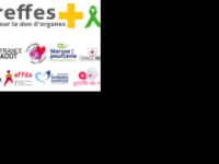 greffe__1695370459_0