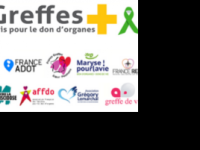 greffe__1762434854_0