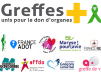 greffe__1765810924_0