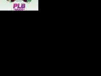 plb_1744280487_0_0