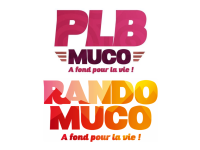 sans_titre_18_1763390005_0