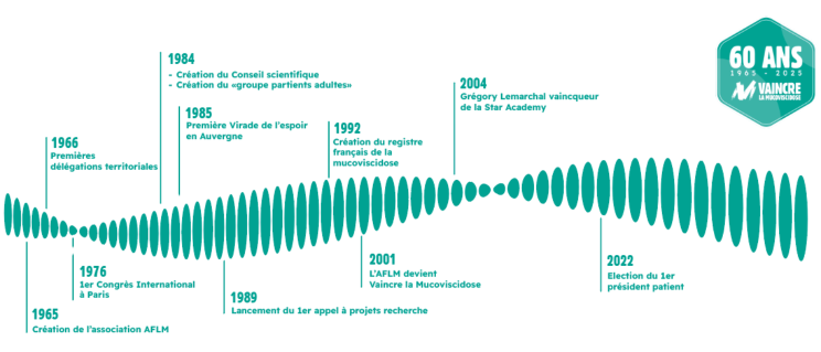 frise_chronologique_-_gabarit_site_3