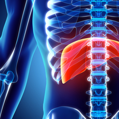 foiehepatology_0