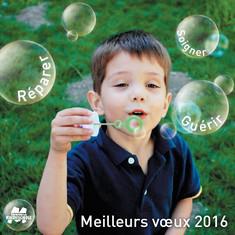 voeux2016