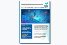 gabarit_visuel_mediatheque_-_lsv_1