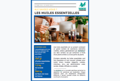 gabarit_visuel_mediatheque_2_4